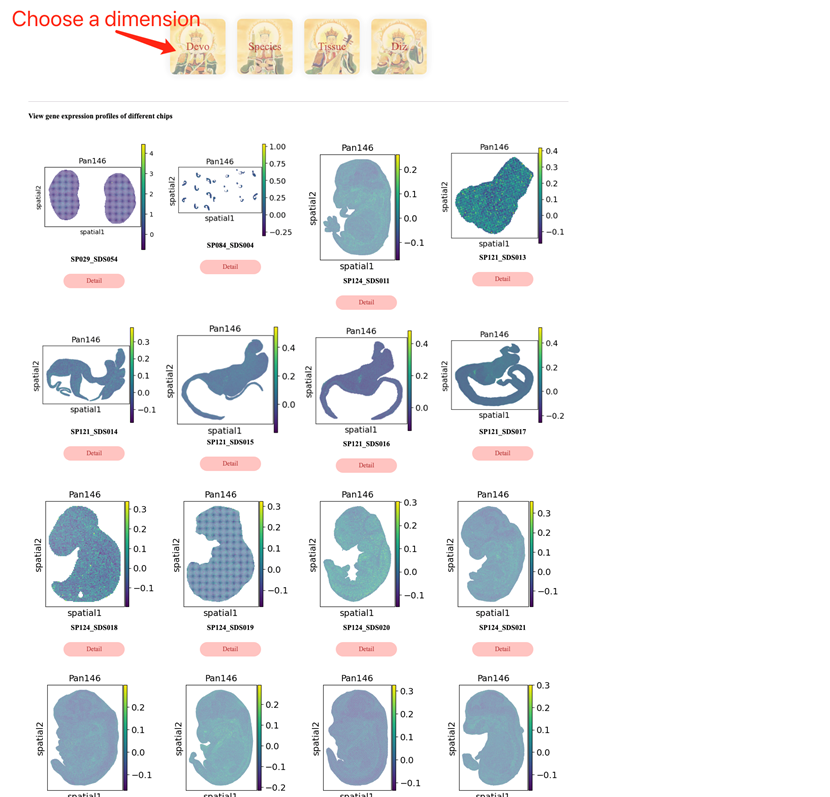 图片包含 图形用户界面 描述已自动生成