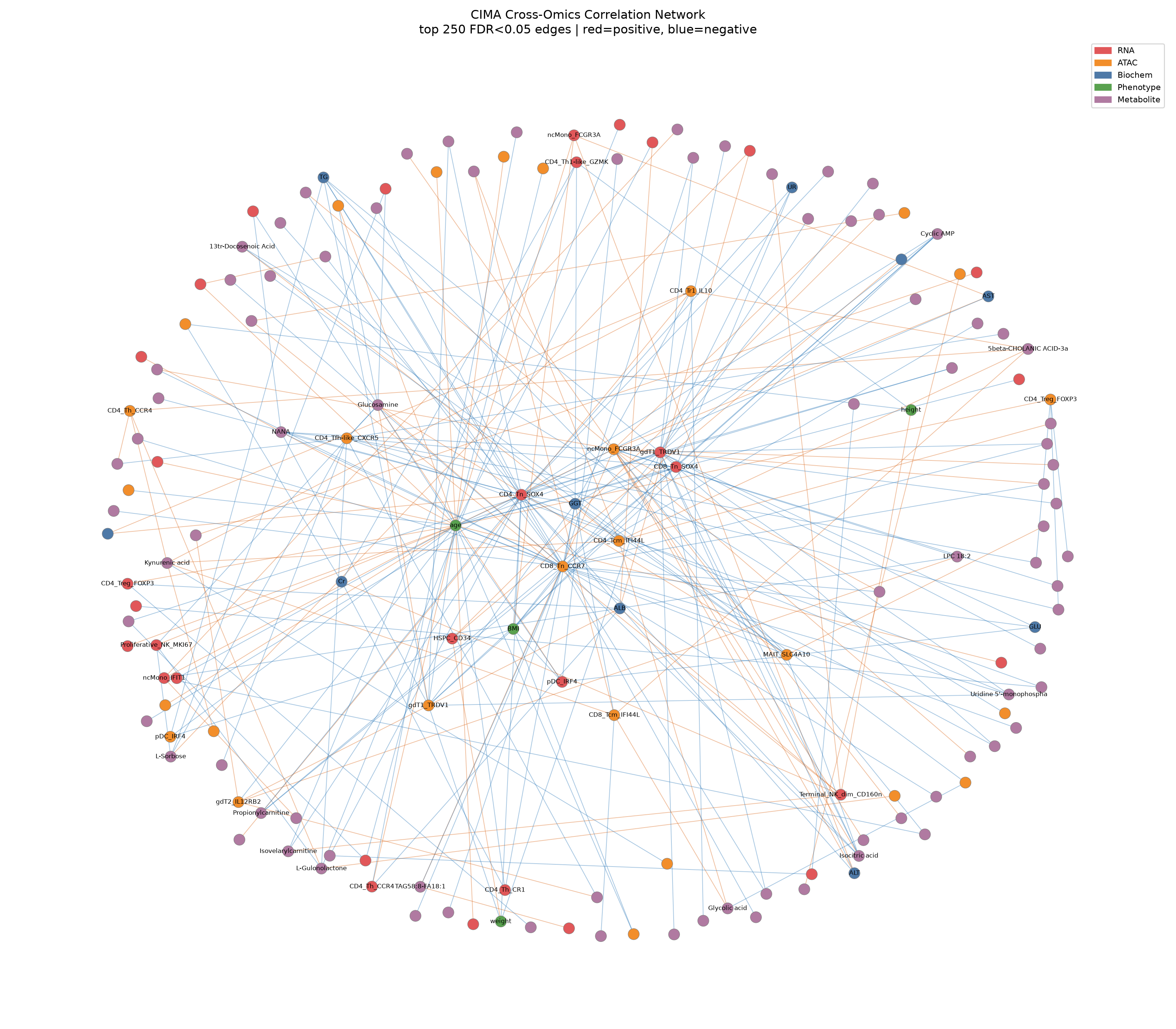 network