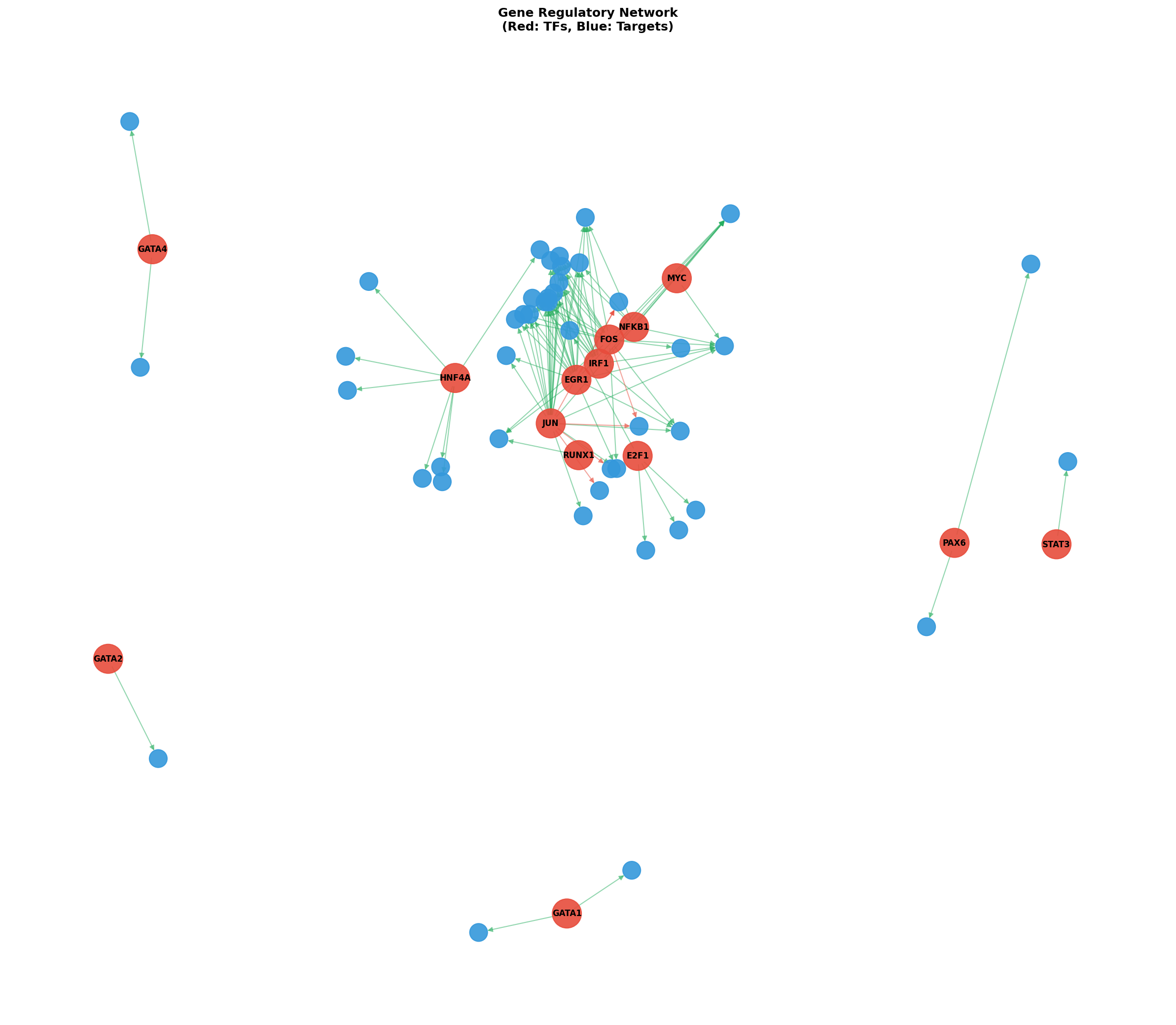 Exploratory TF-Target Association Network