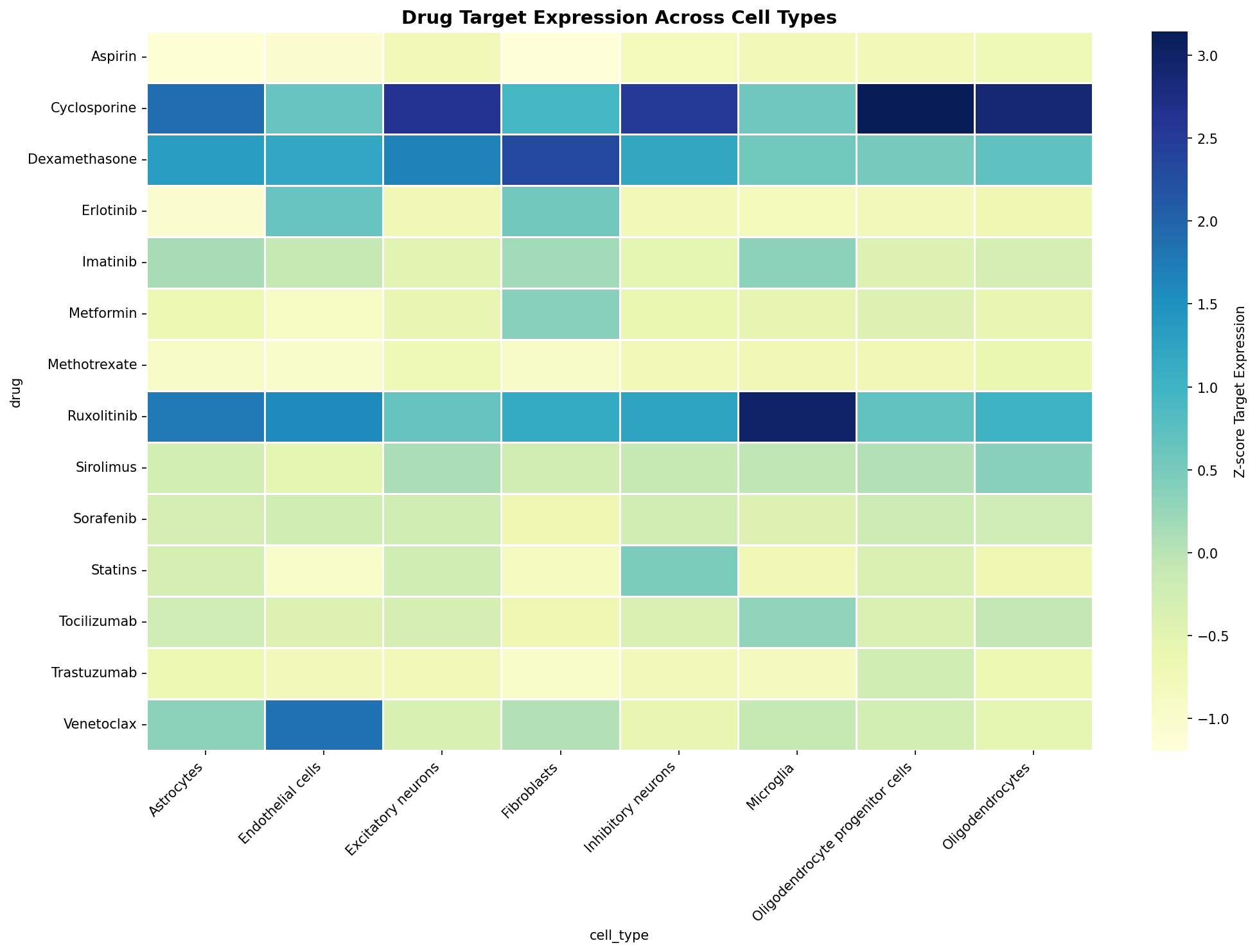 Drug Target Expression Heatmap