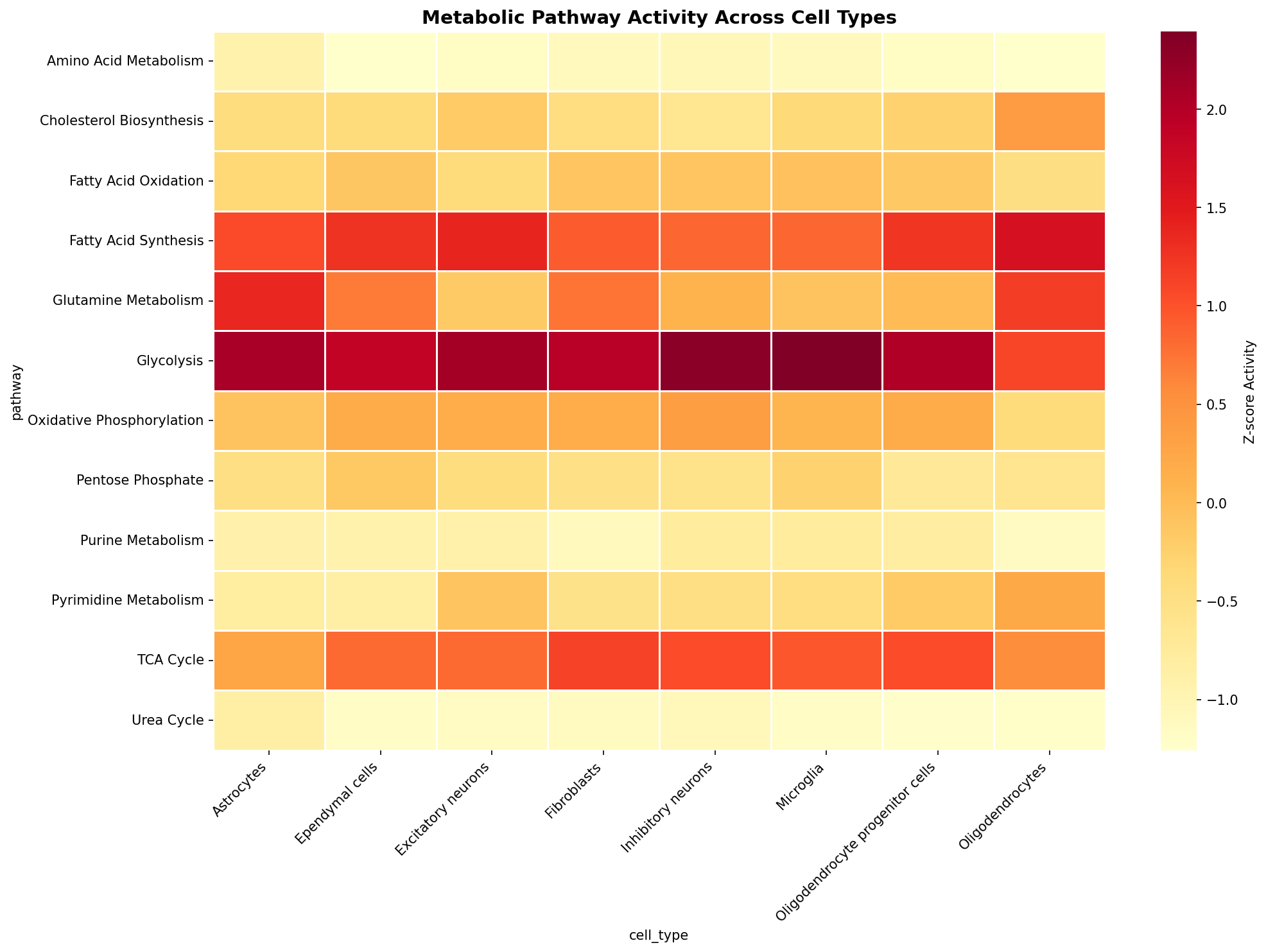 Metabolic Pathway Heatmap