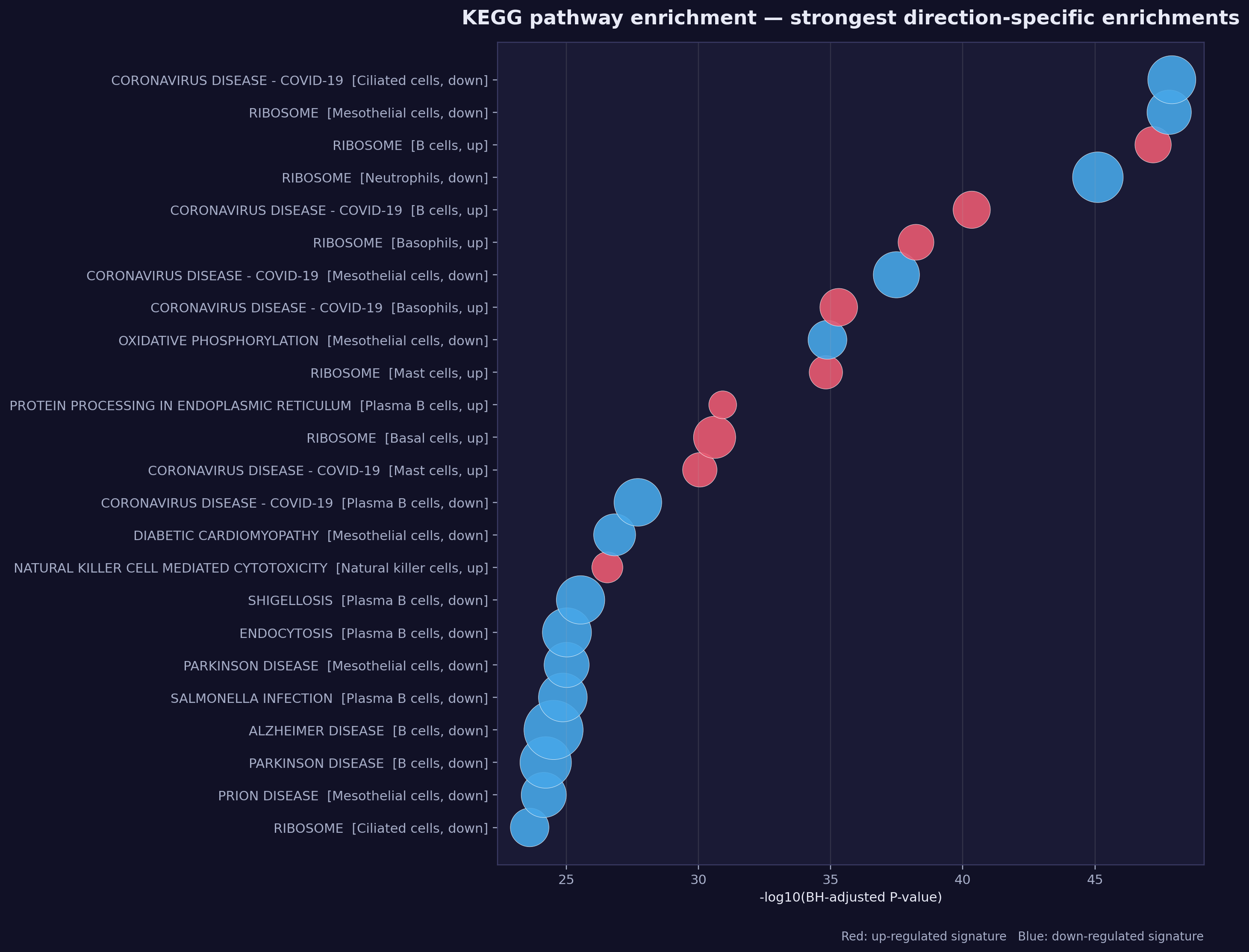 KEGG Pathway Enrichment