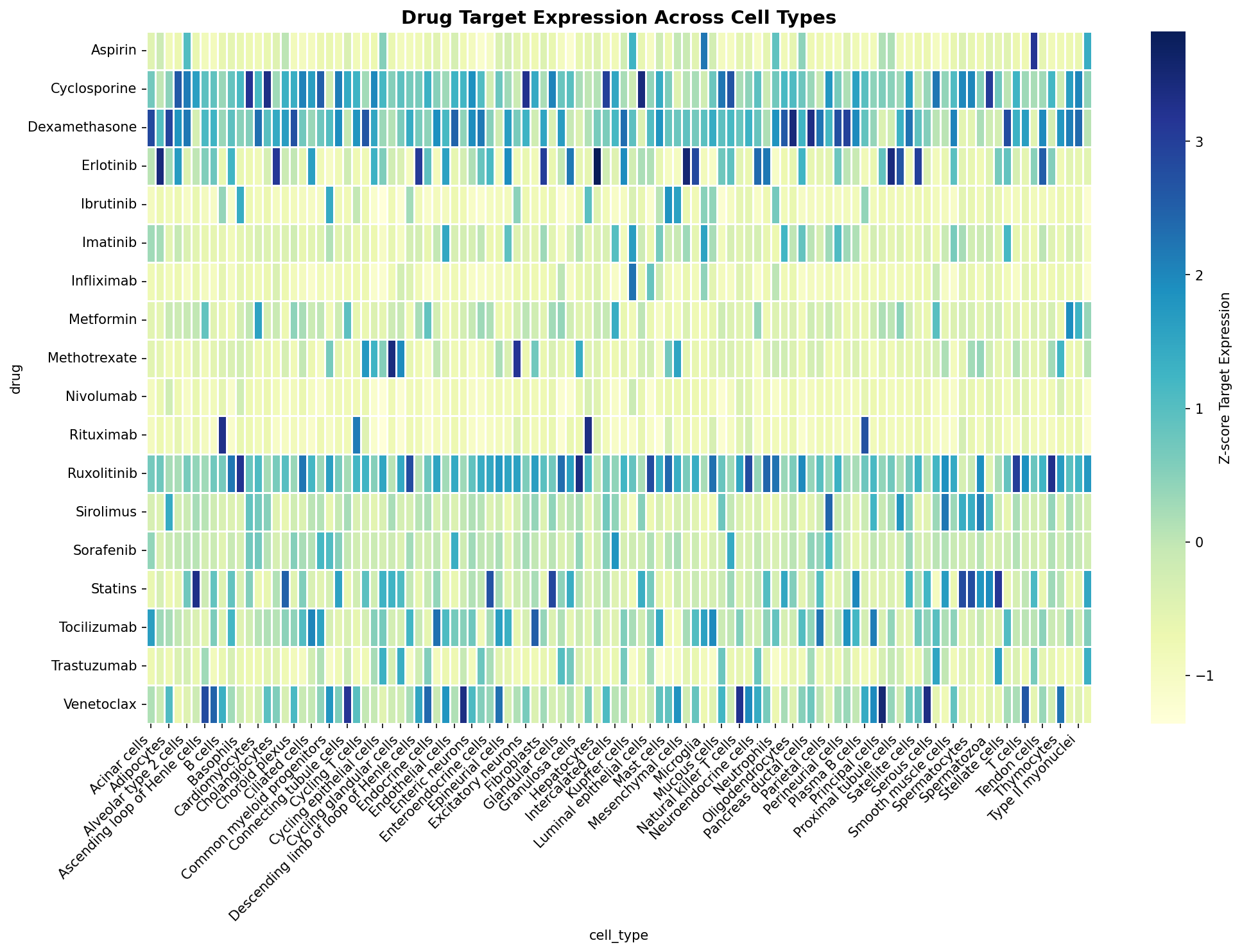 Drug Target Expression Heatmap