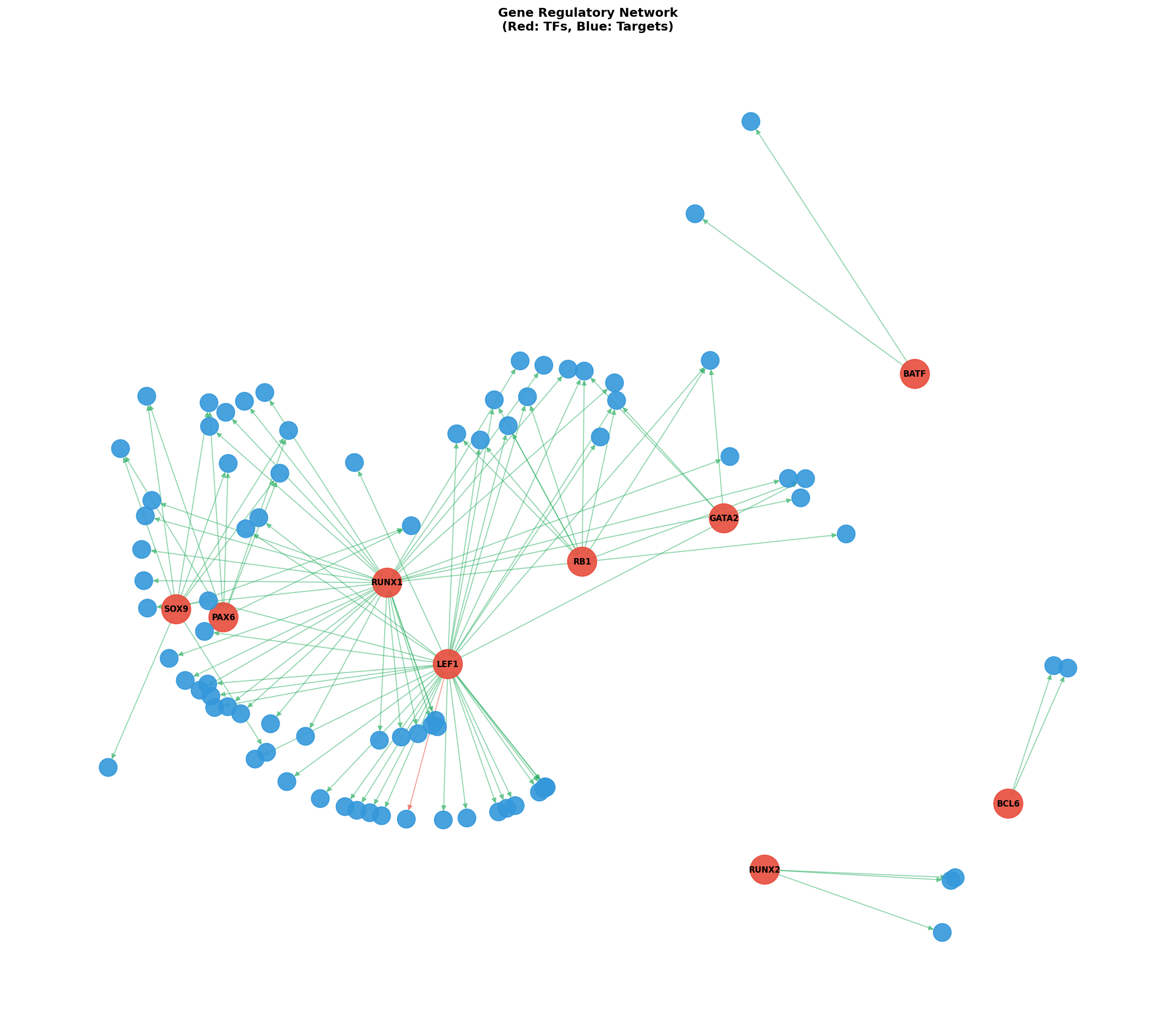 Exploratory TF-Target Association Network