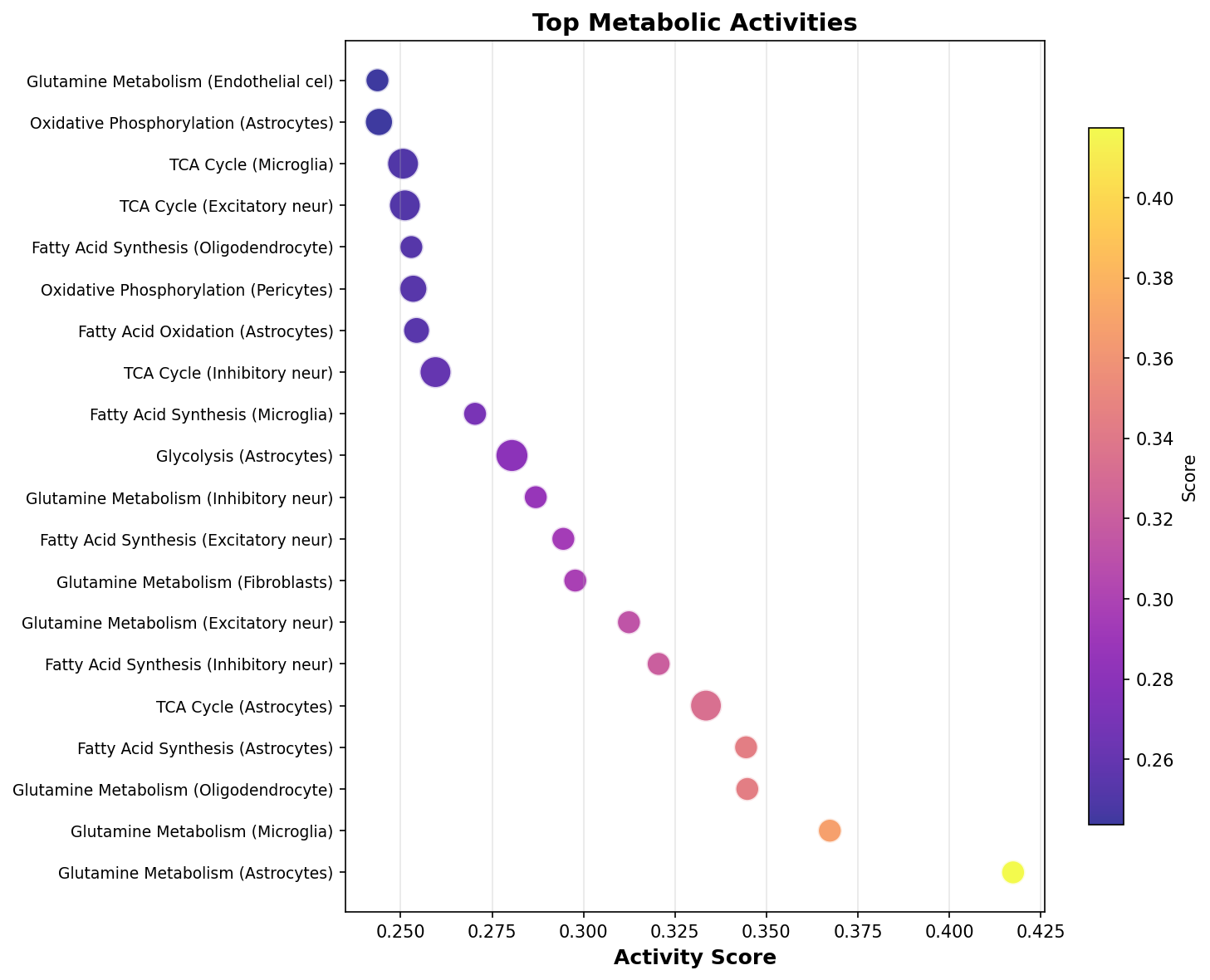 Top Metabolic Activities