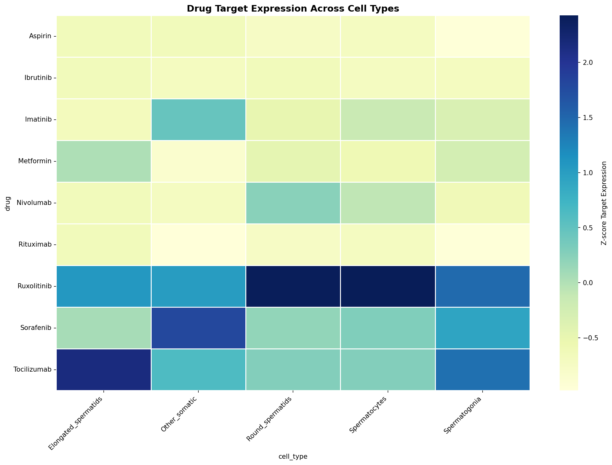 Drug Target Expression Heatmap