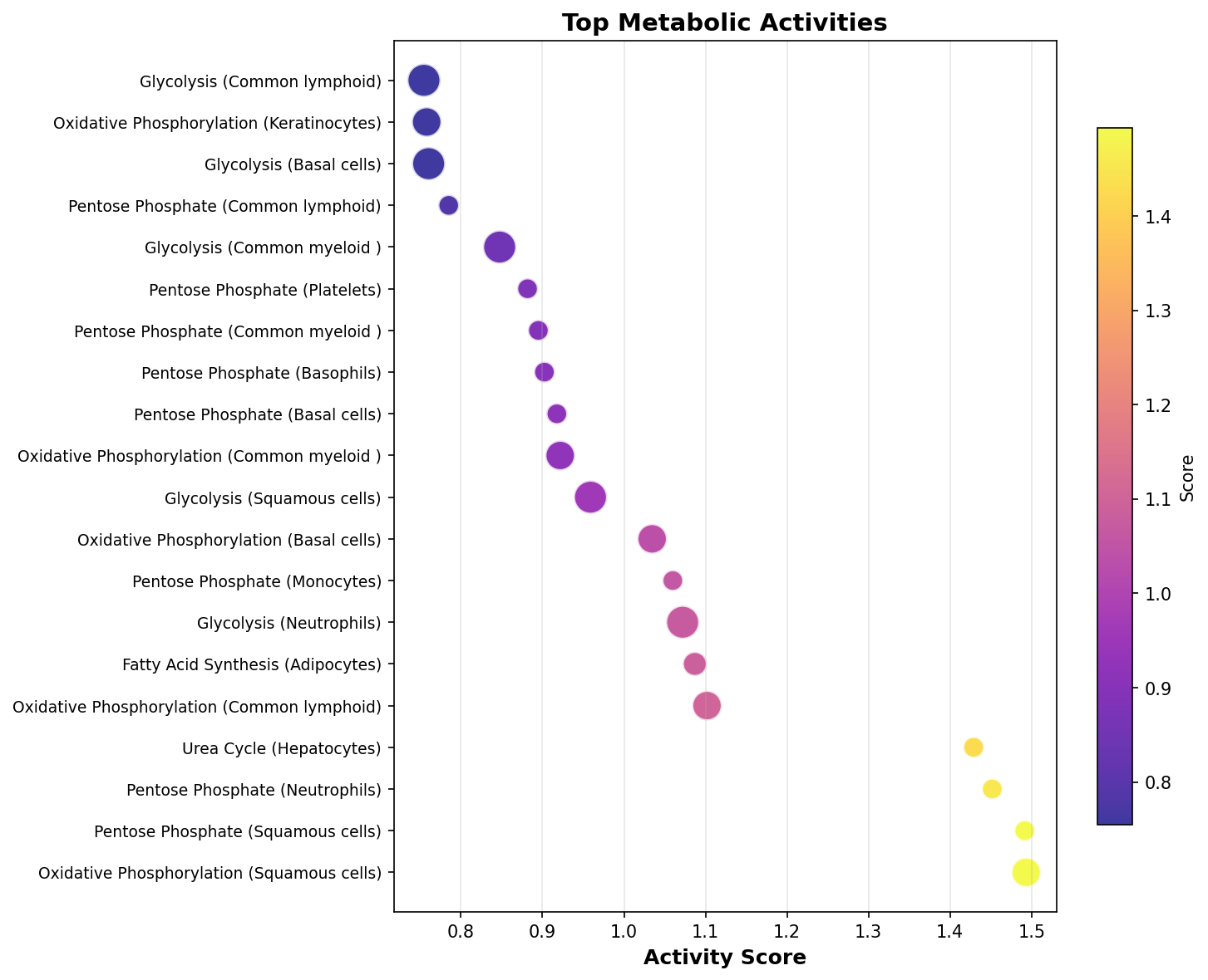 Top Metabolic Activities