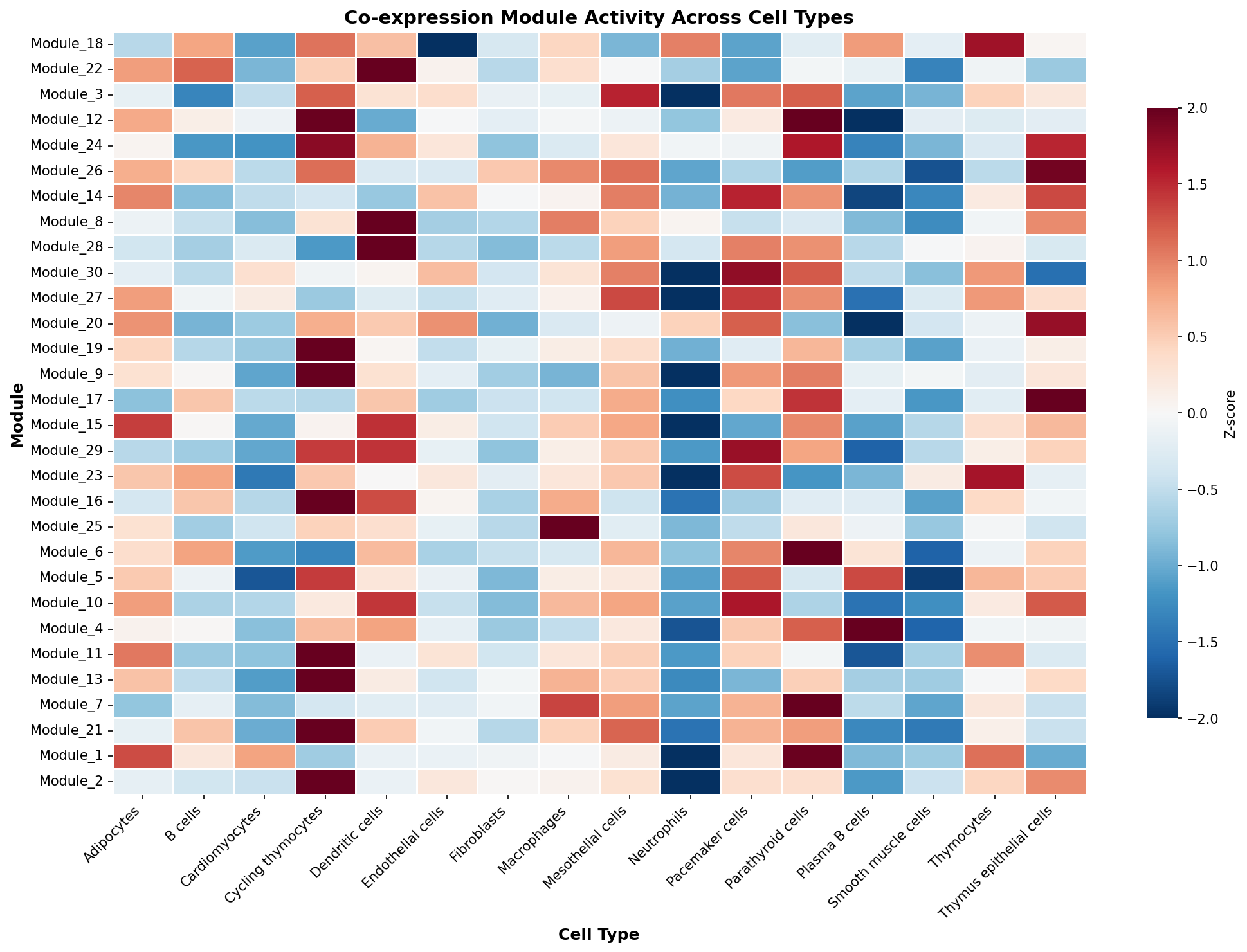 Module-Cell Type Association