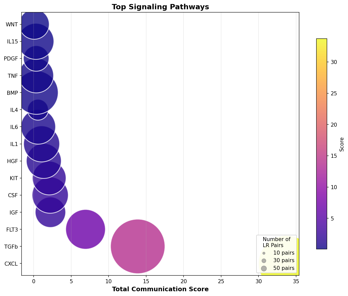 Signaling Pathway Activity