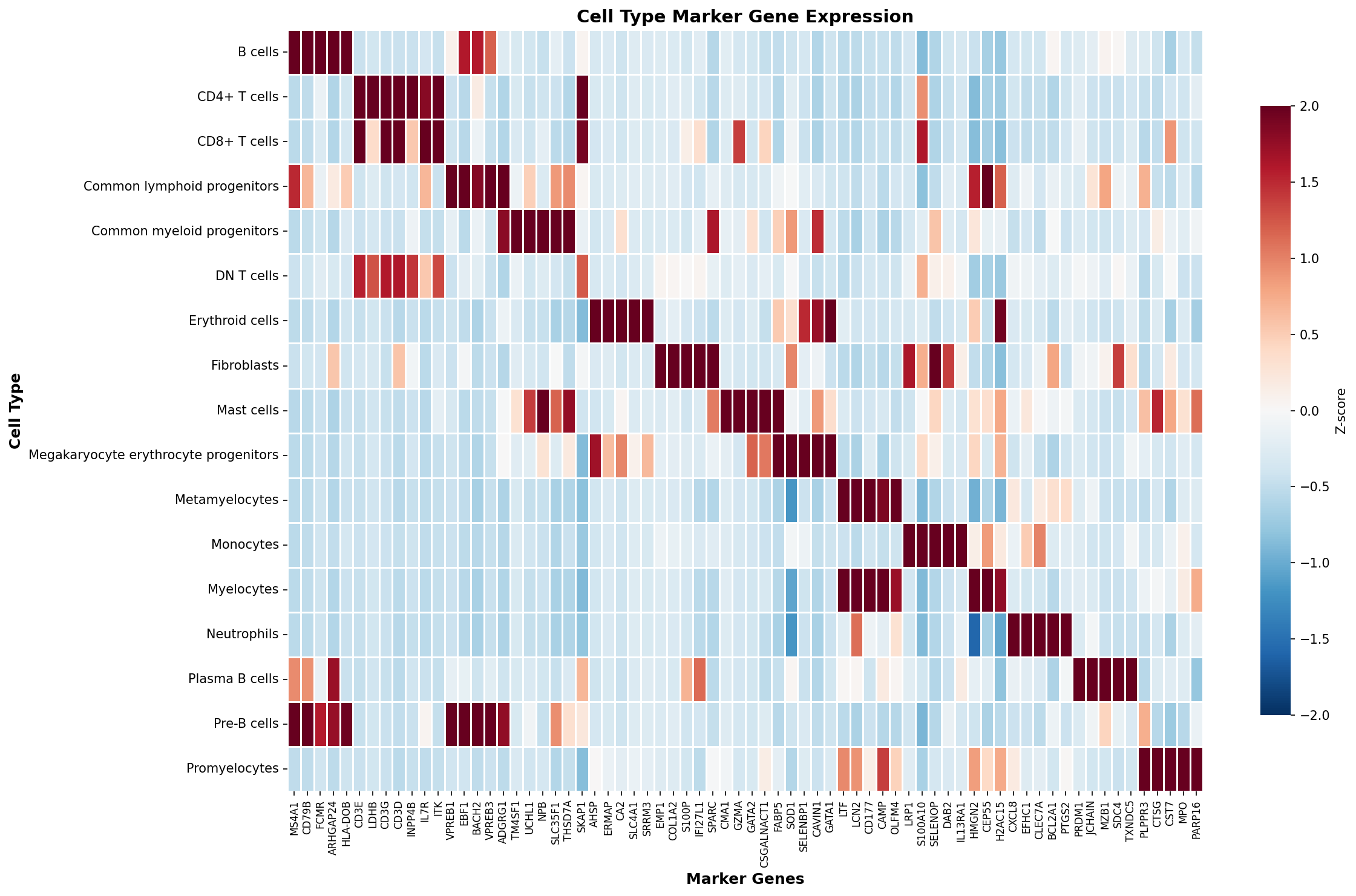 Marker Gene Heatmap