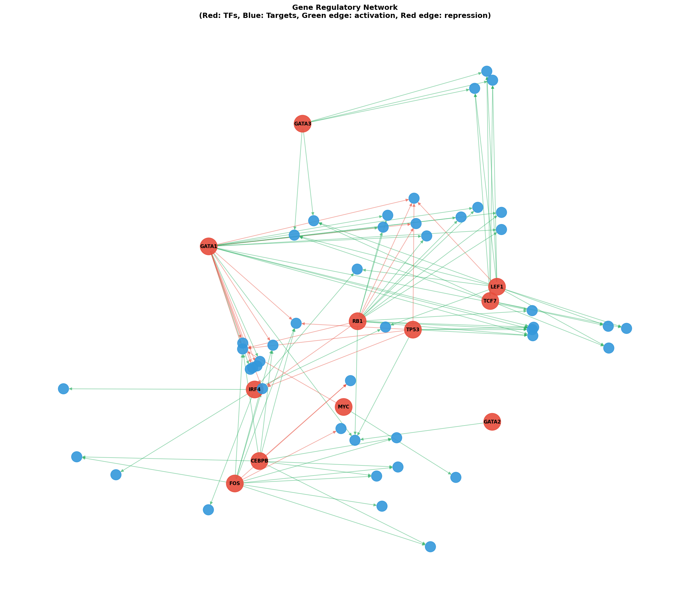 Gene Regulatory Network