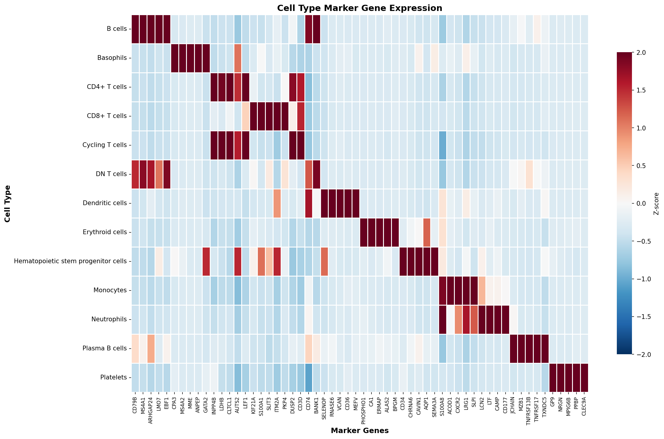 Marker Gene Heatmap