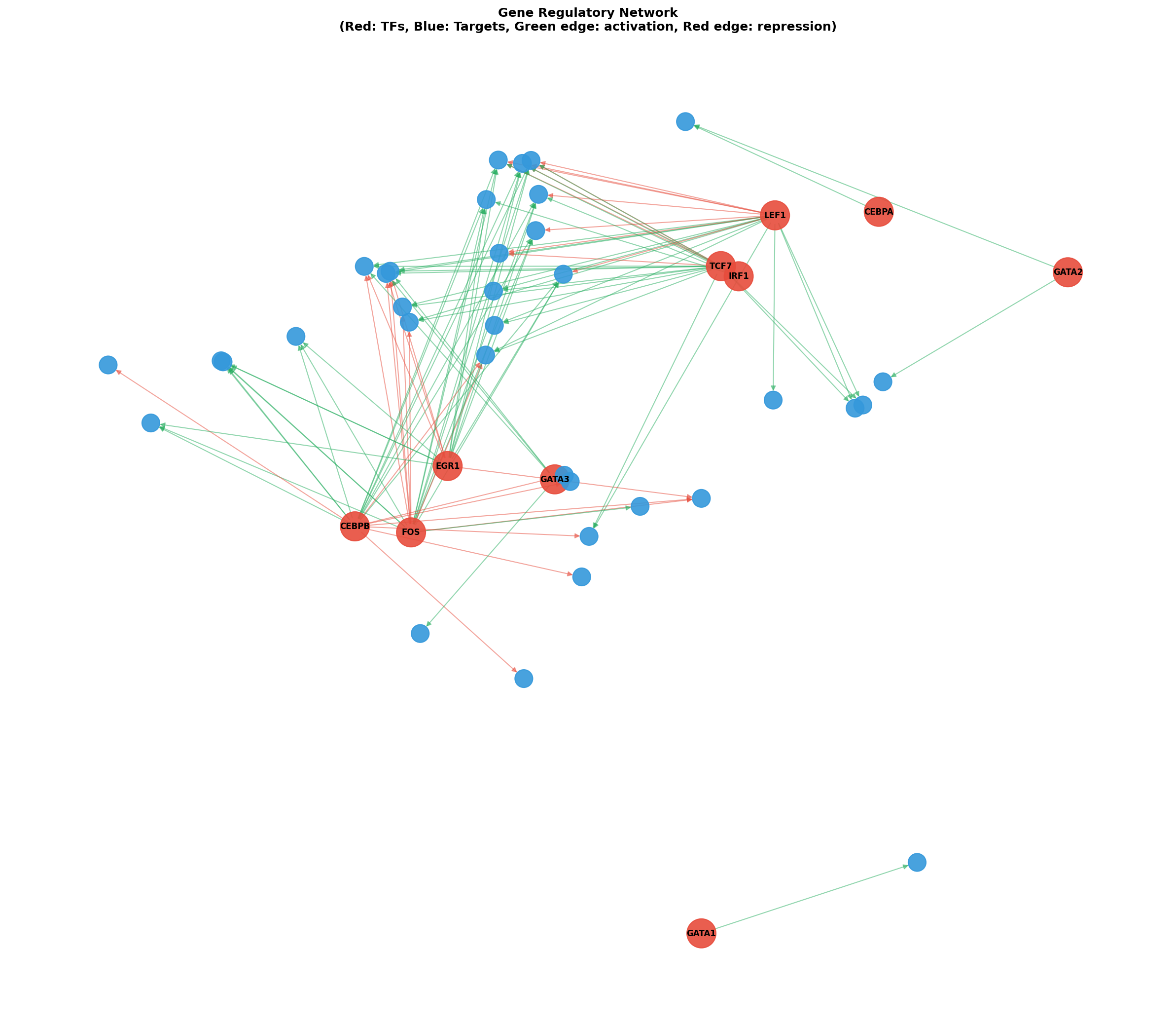 Gene Regulatory Network
