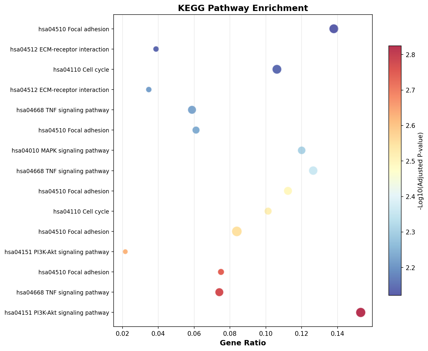 KEGG Enrichment