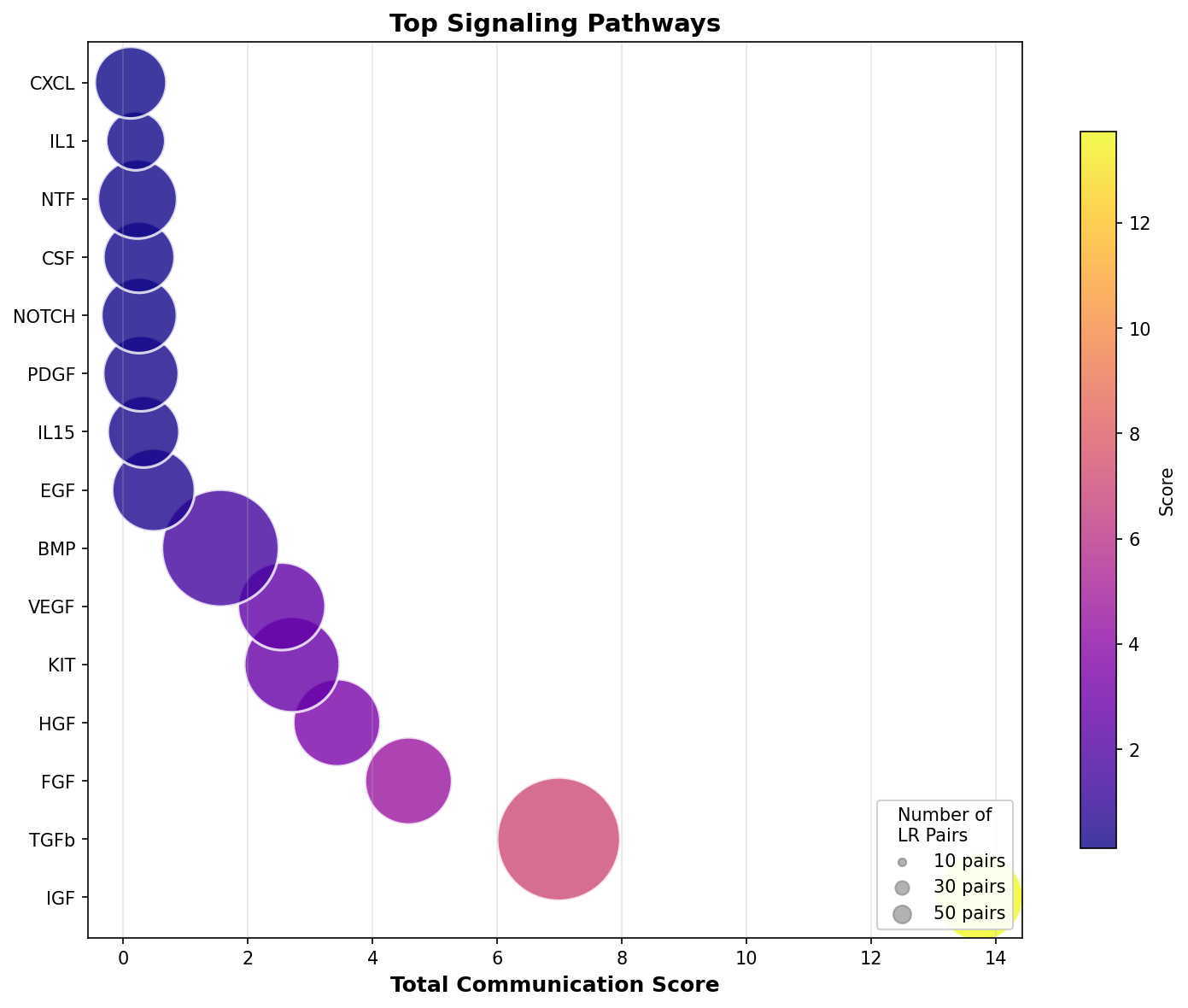 Signaling Pathway Activity