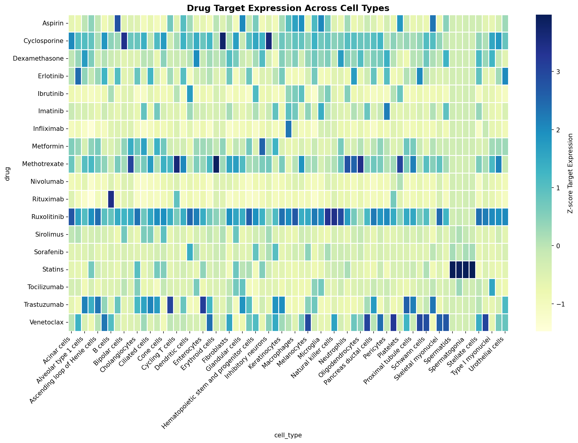 Drug Target Expression Heatmap