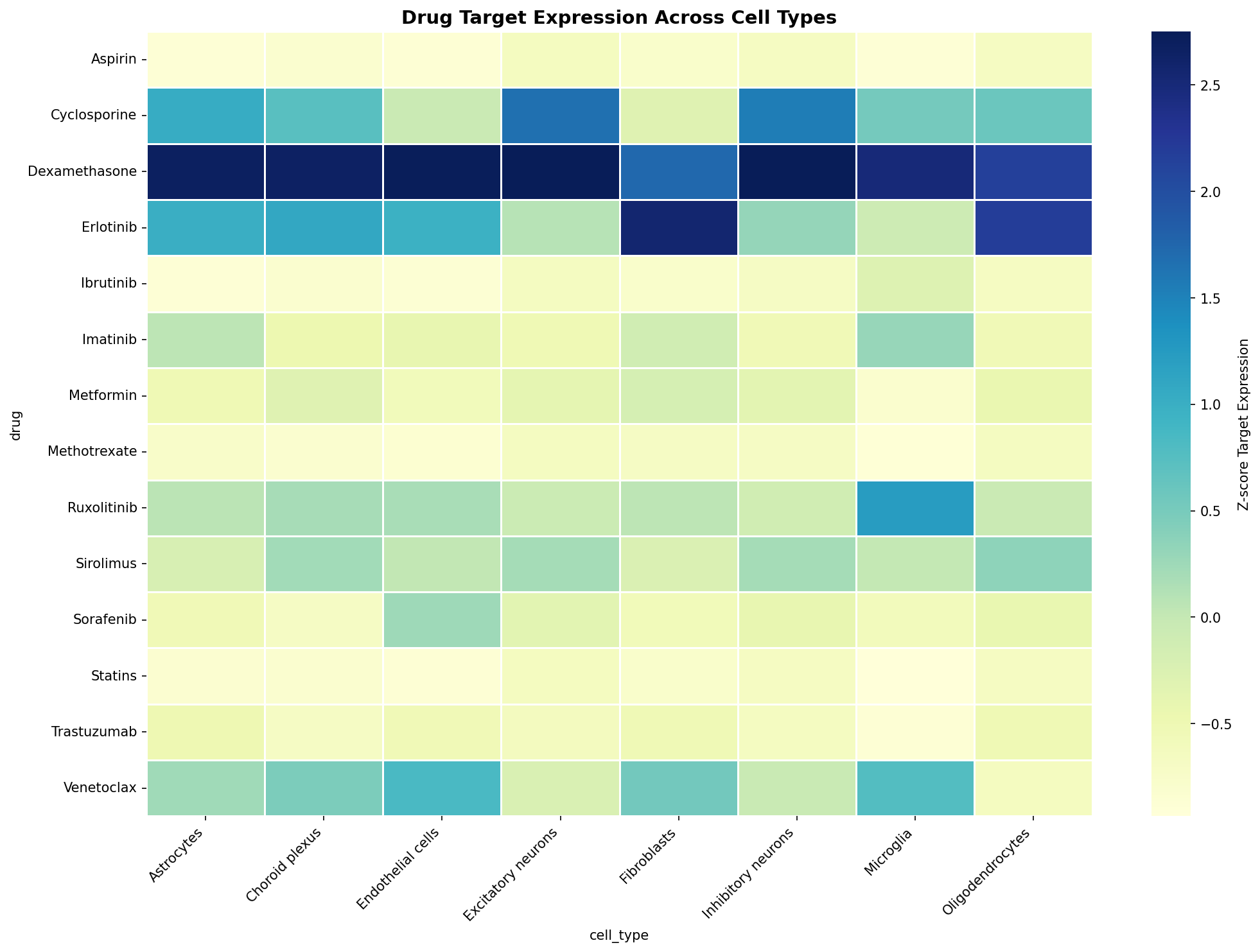 Drug Target Expression Heatmap