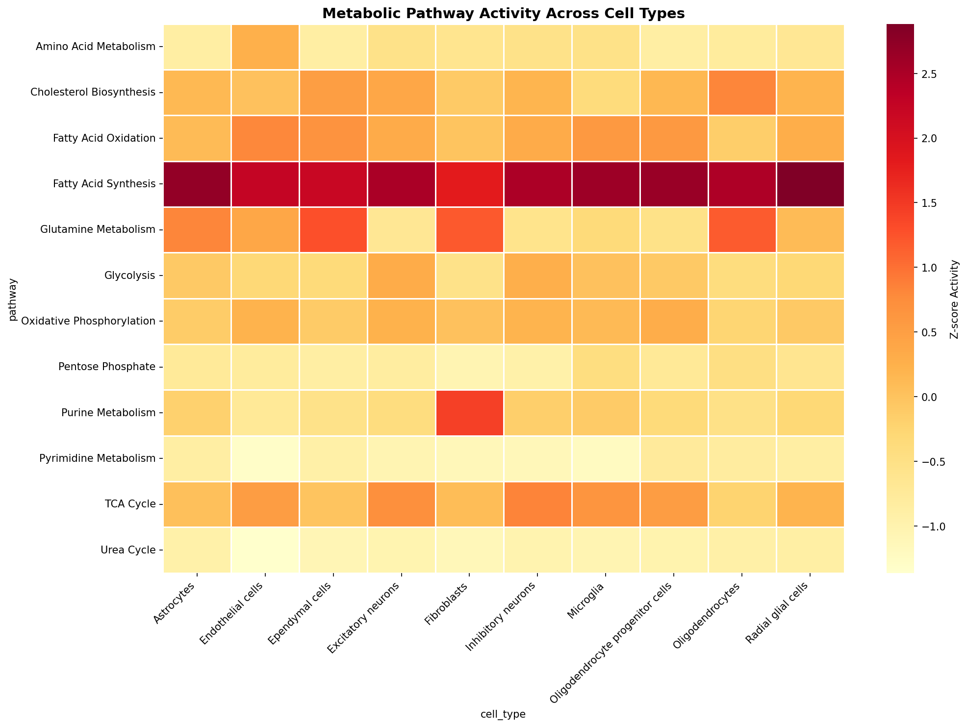 Metabolic Pathway Heatmap