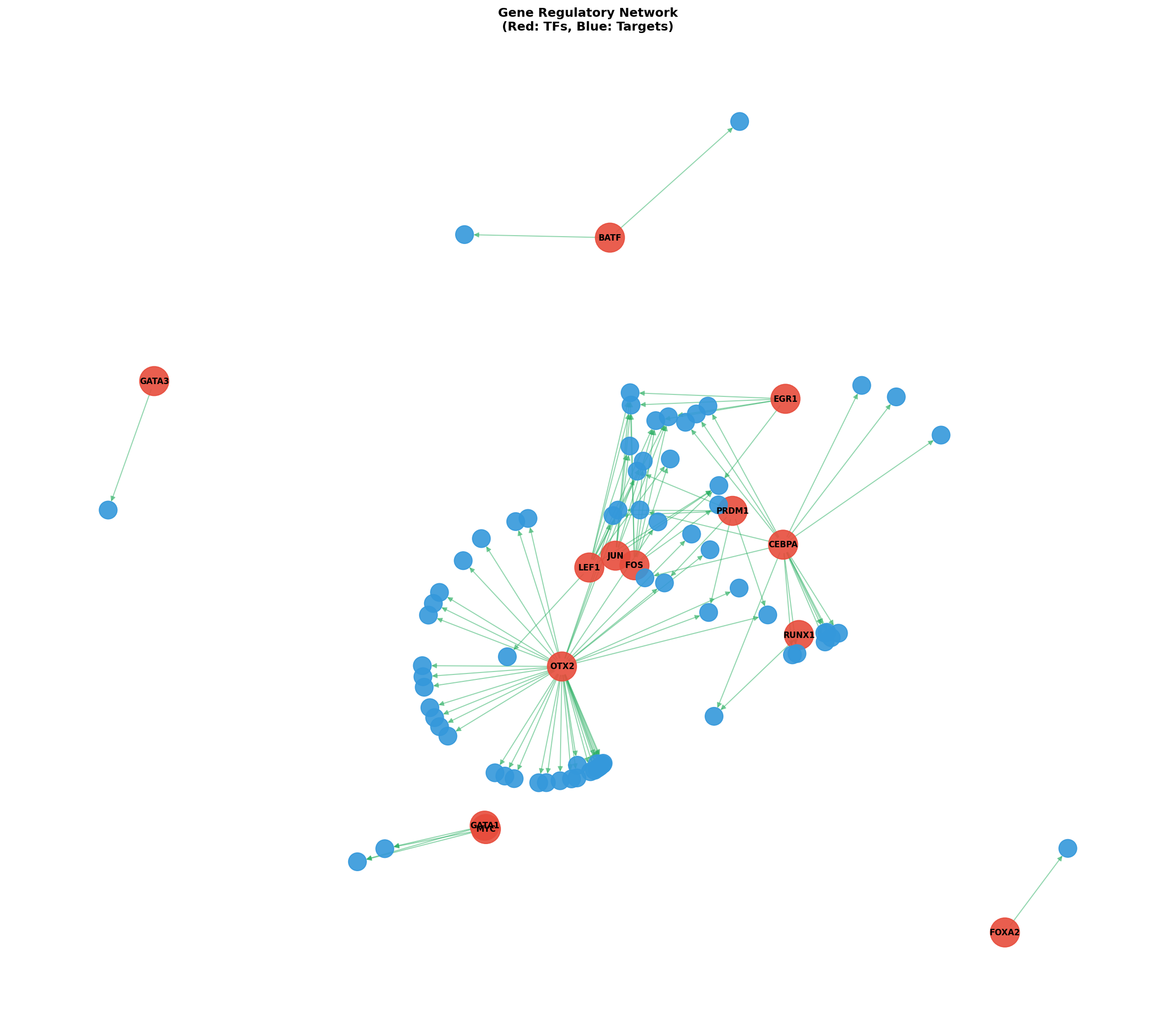 Exploratory TF-Target Association Network