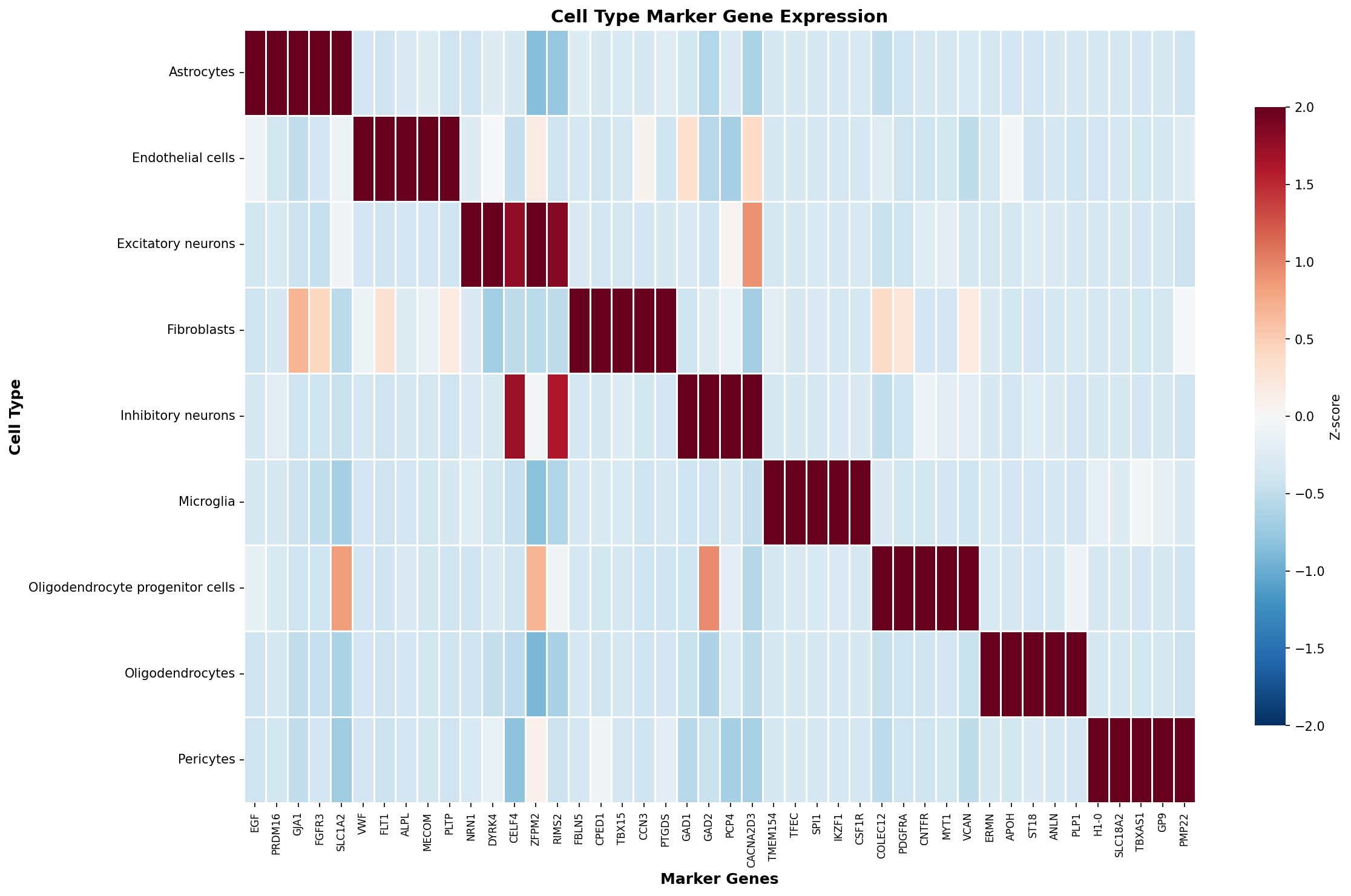 Marker Gene Heatmap