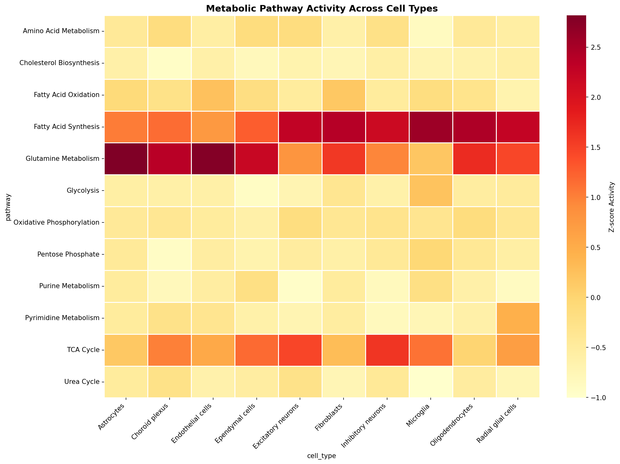 Metabolic Pathway Heatmap