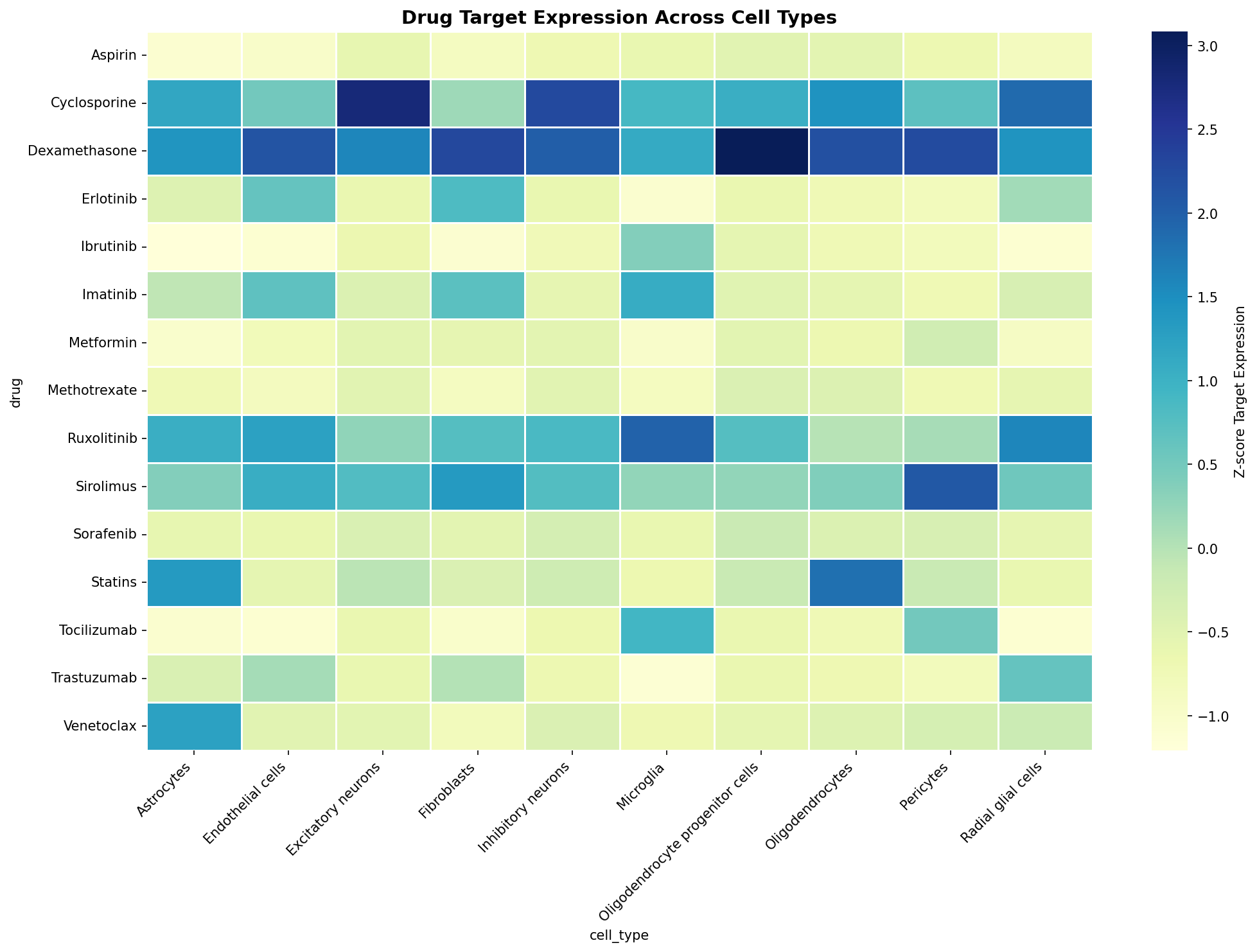 Drug Target Expression Heatmap