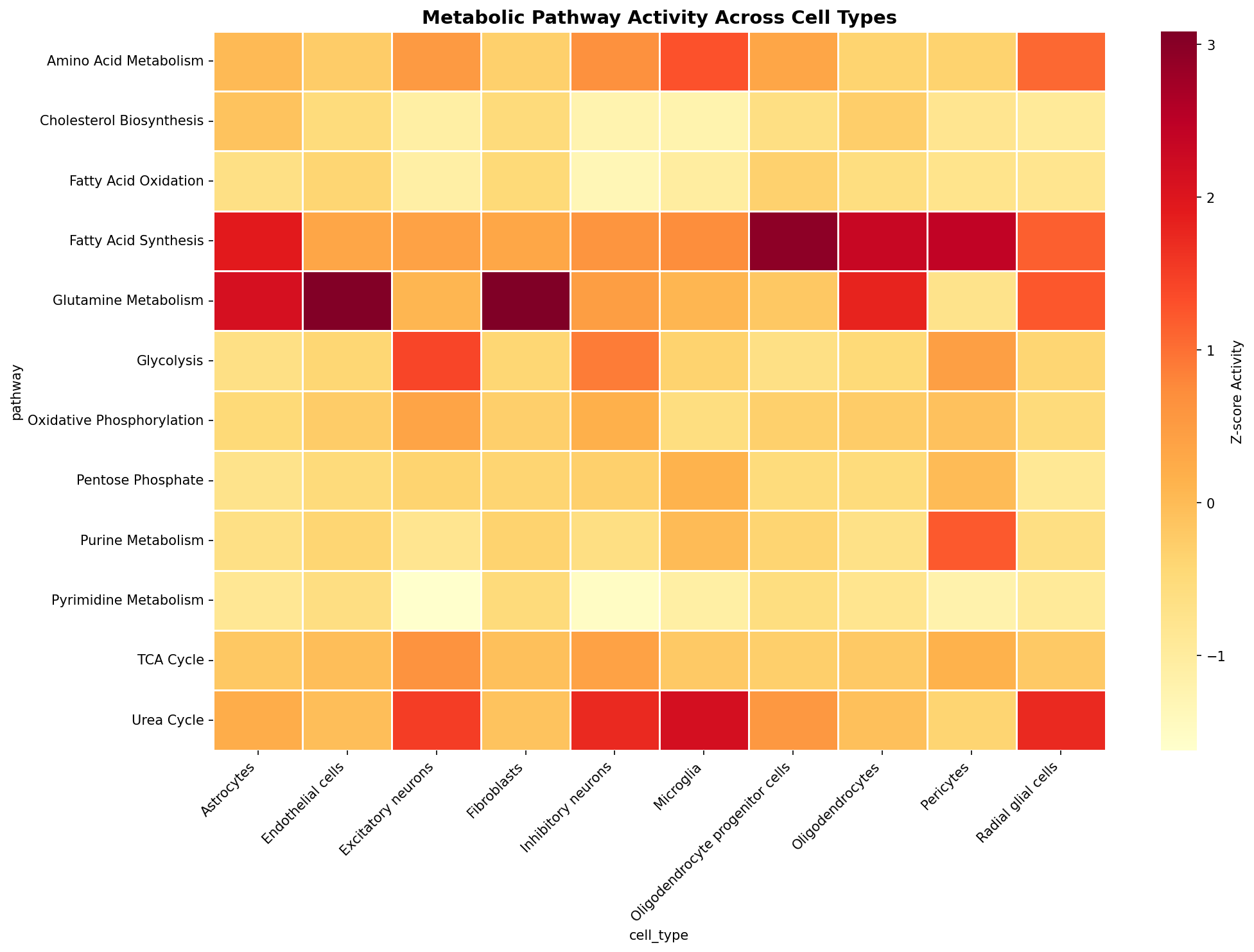 Metabolic Pathway Heatmap