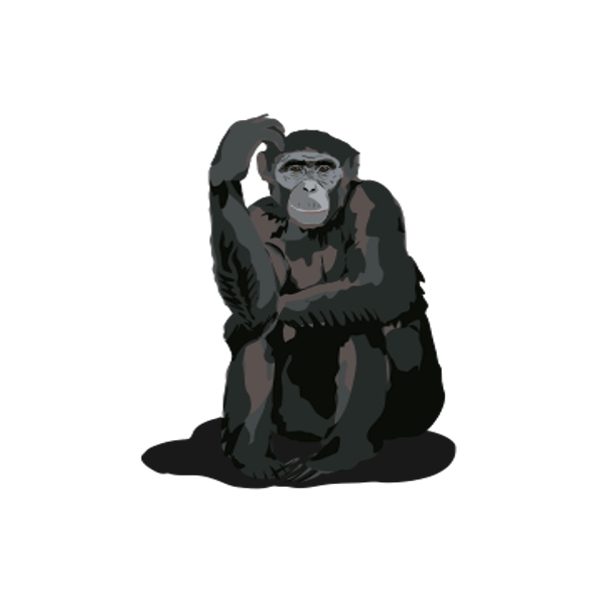 Bonobo